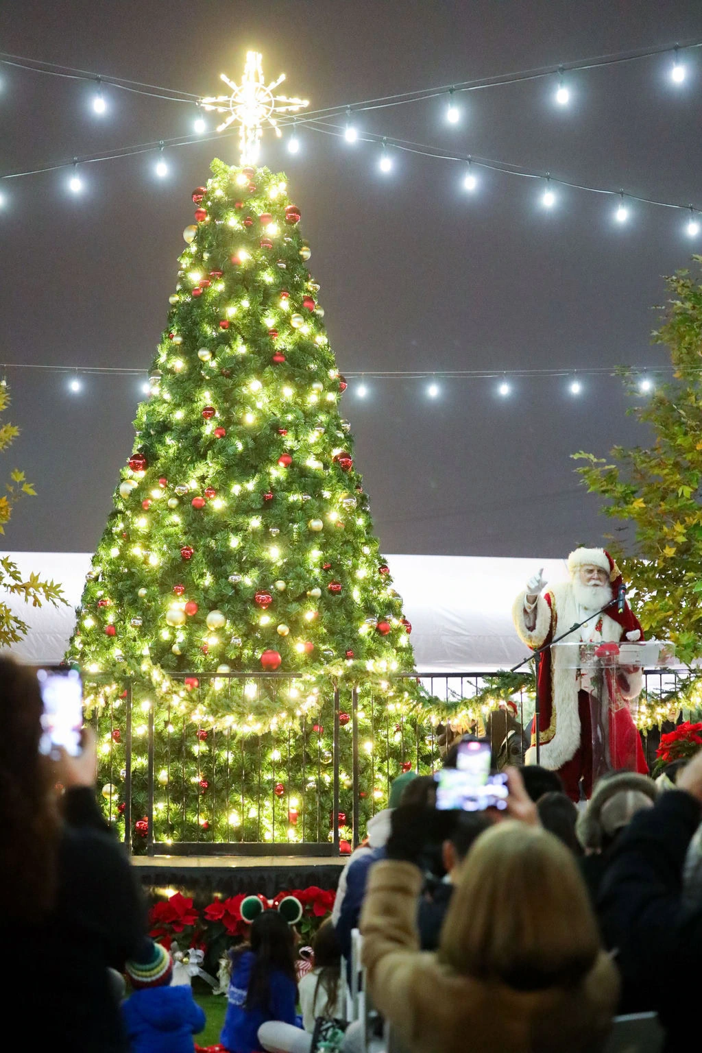 BH TreeLighting 122