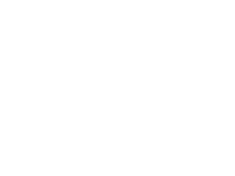 Belcourt Village Logo White