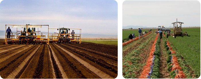 agriculture legacy mobile