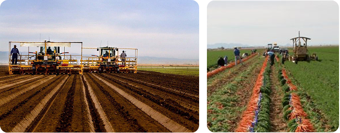 agriculture legacy mobile