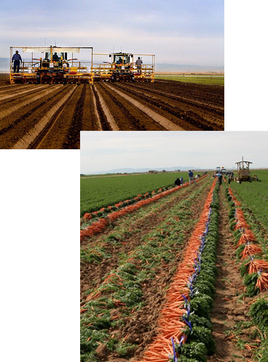 agriculture legacy