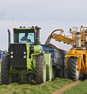 bolthouse properties formation right