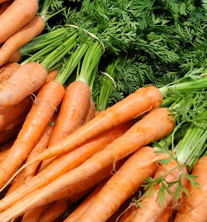 bolthouse westward expansion right