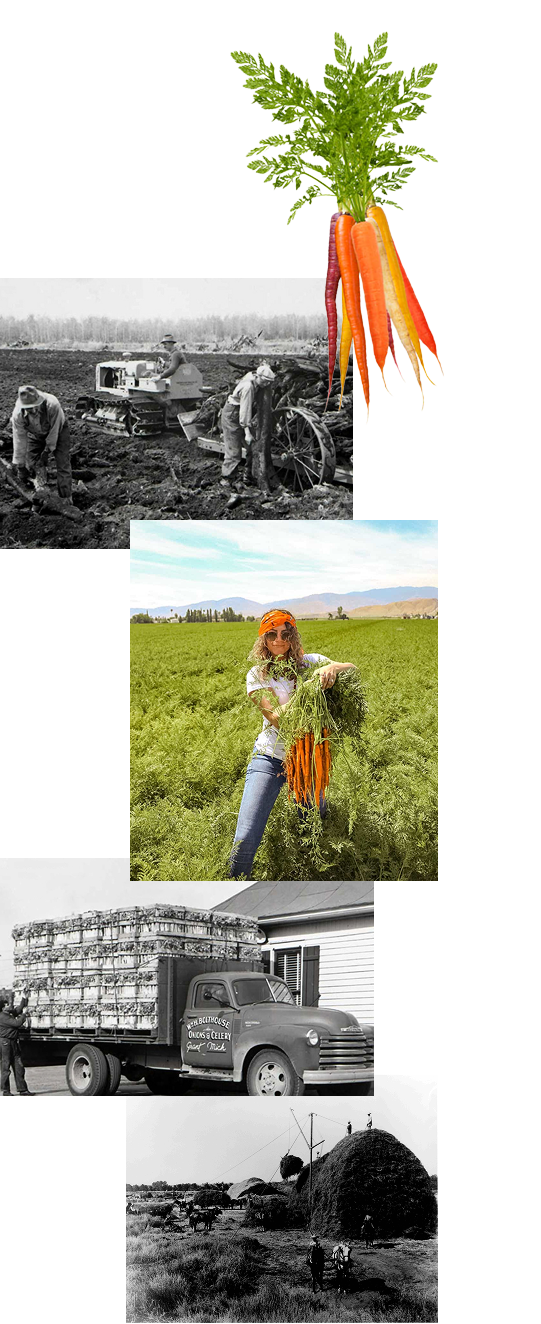 california central valley land development