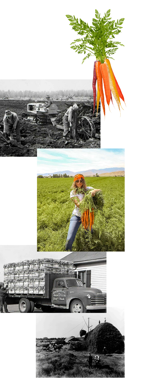 california central valley land development