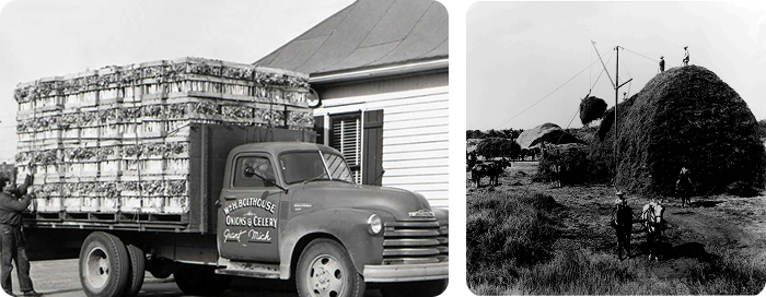california central valley transport
