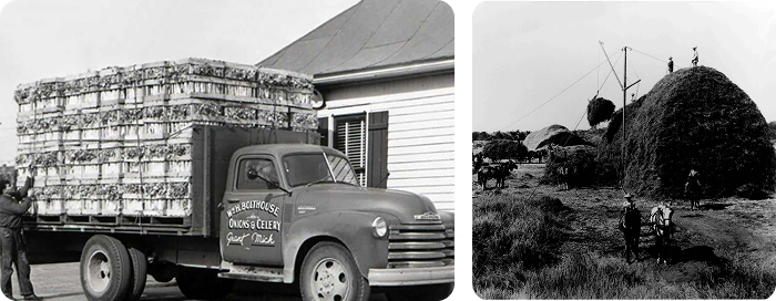 california central valley transport