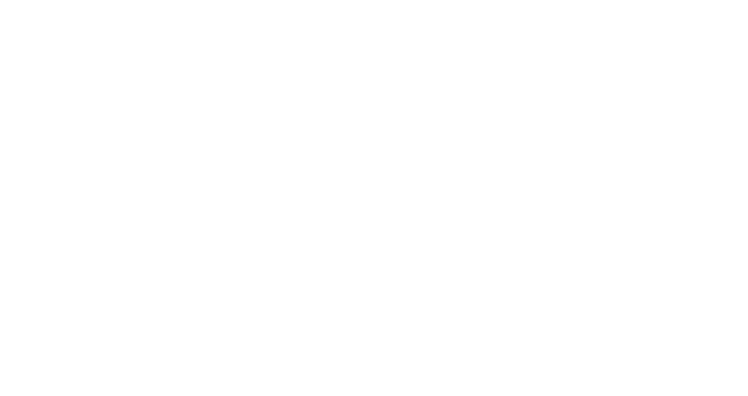 Belcourt Village 9 electric_logo