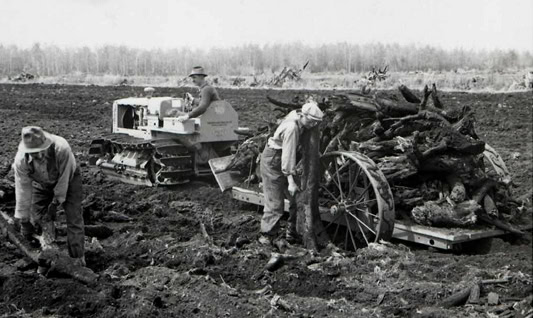 farming with purpose