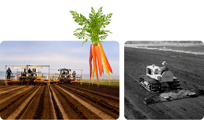 rooted here of good reason