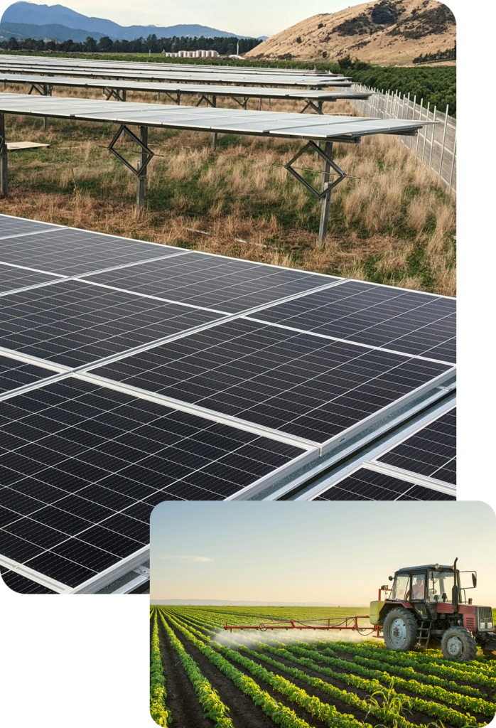 Dreaming With Tomorrow in Mind