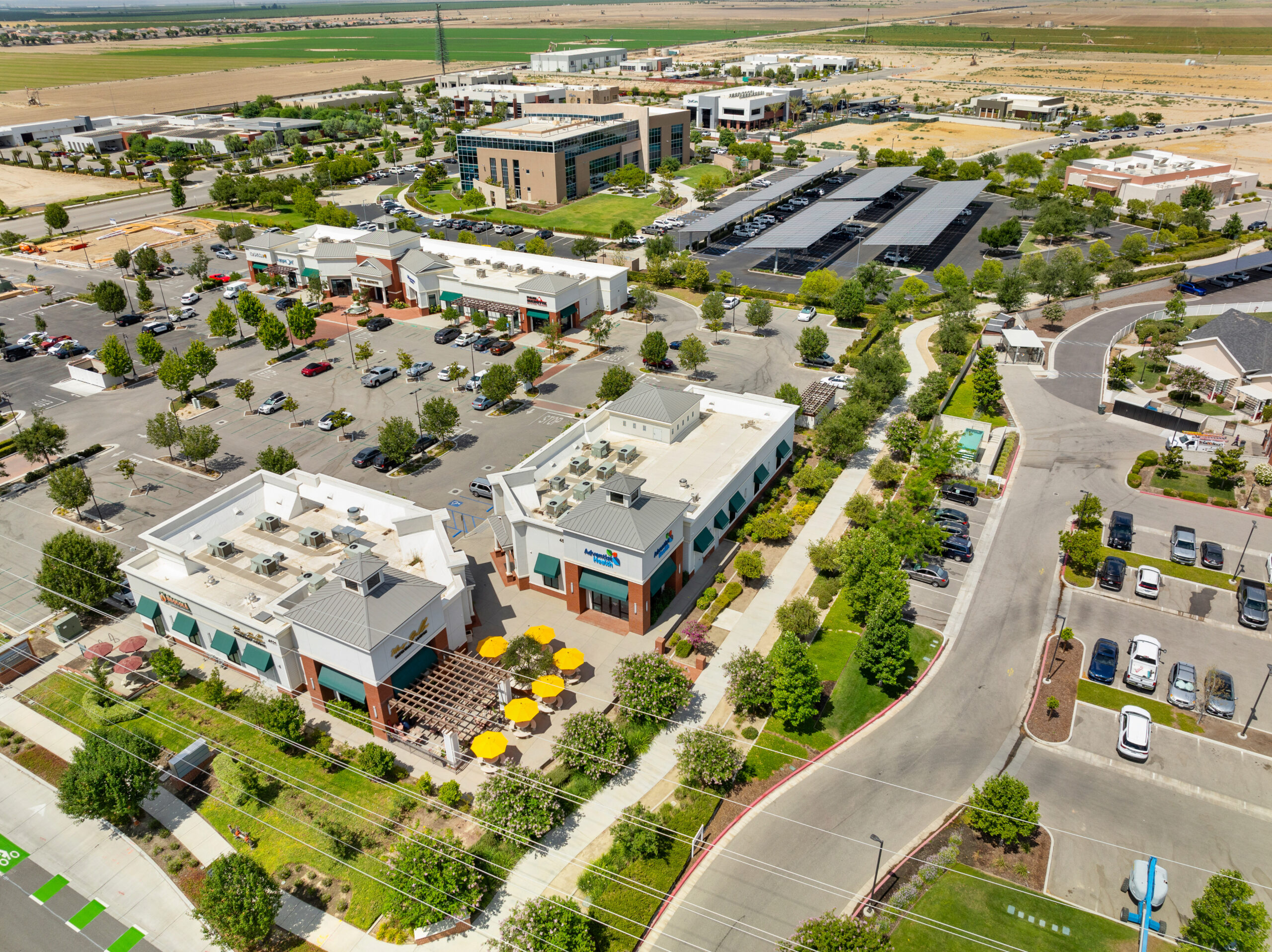 Lifestyle Connection scaled