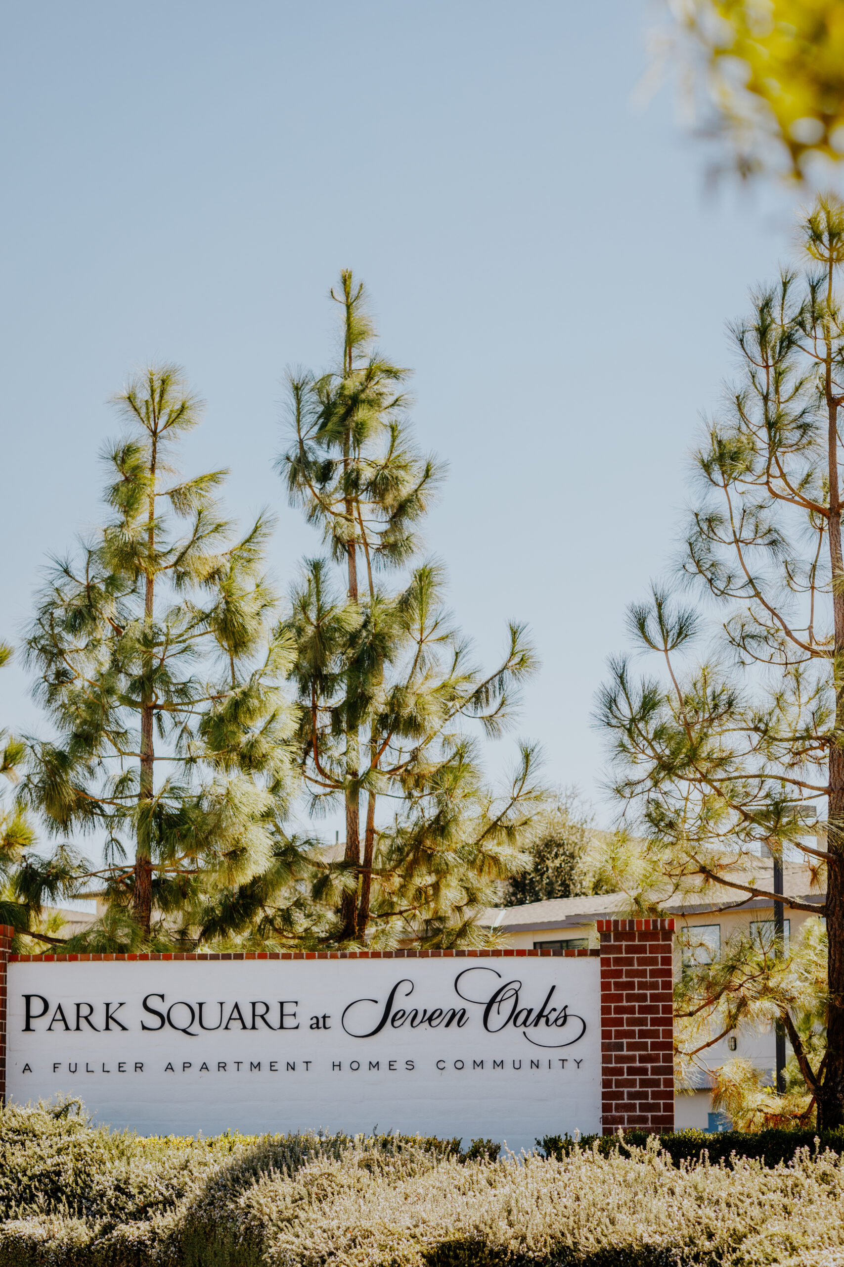 Lifestyle Meets Community scaled