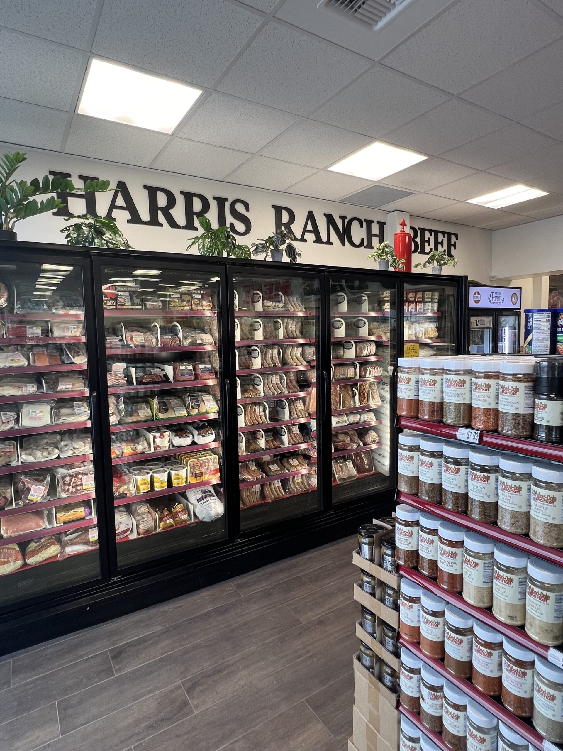 Vision Executed scaled