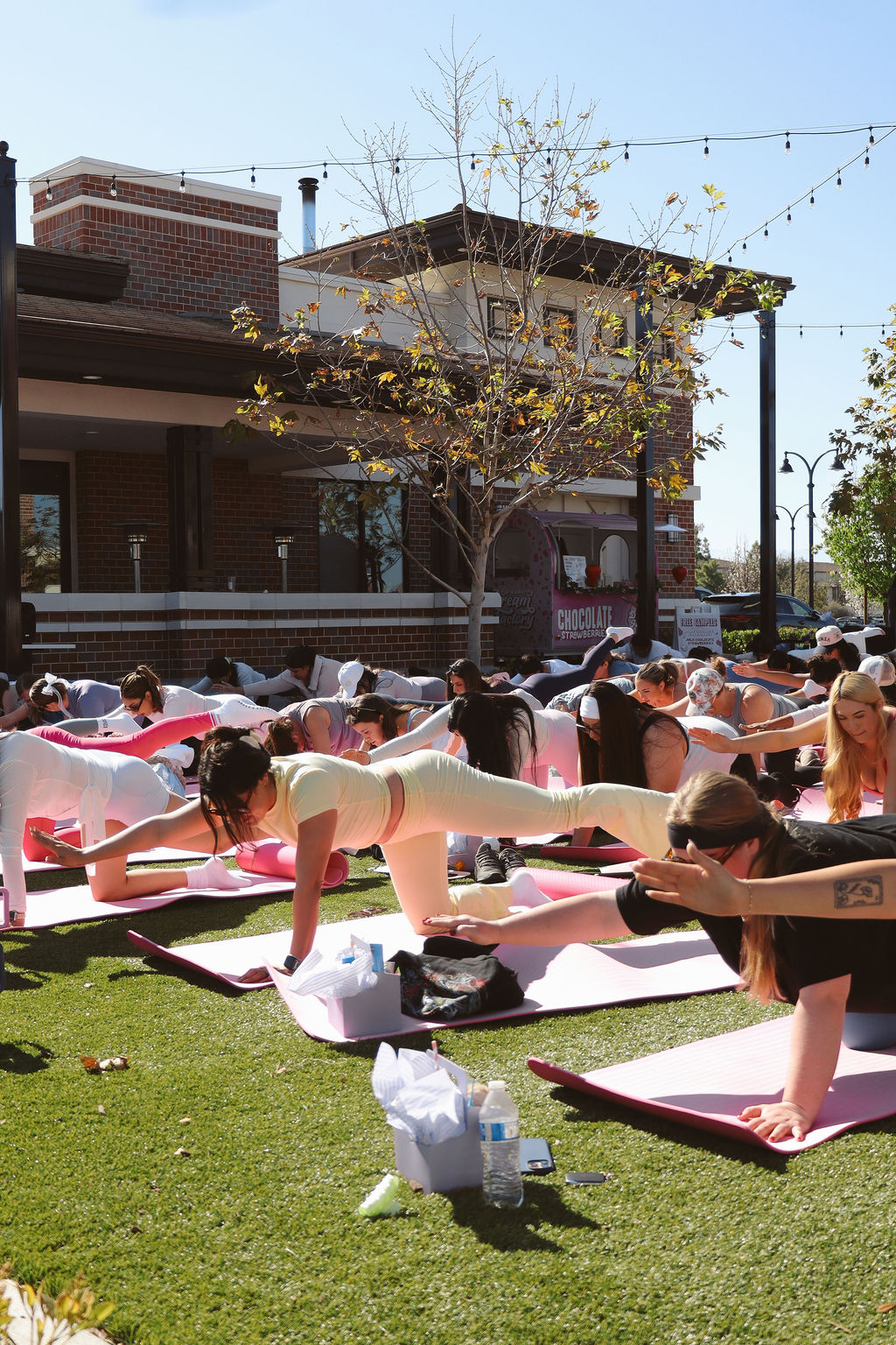 Summer Lives Here 4 PIQUEWELLNESS BARREBUNNIES 4522