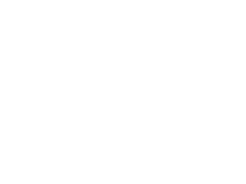 palazzo-nails-vertical-logo
